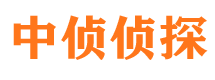 临泽市婚外情取证